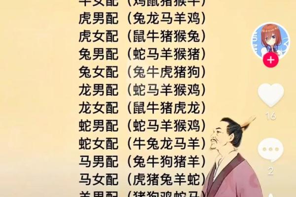 女龙与男蛇的配对缘分解析