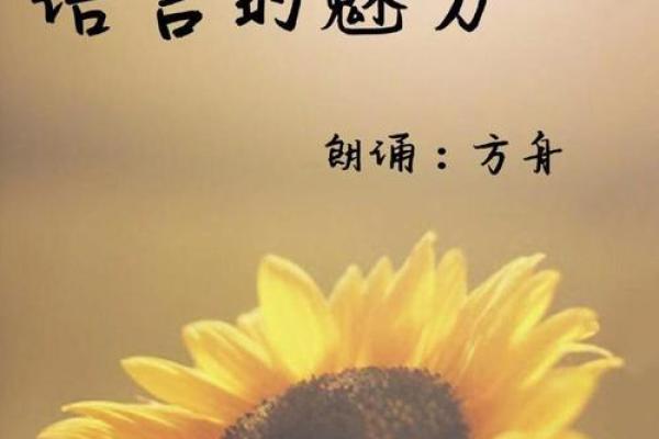 小乔名字的历史印记与其在文学中的魅力 小乔名字的历史印记与其在文学中的魅力