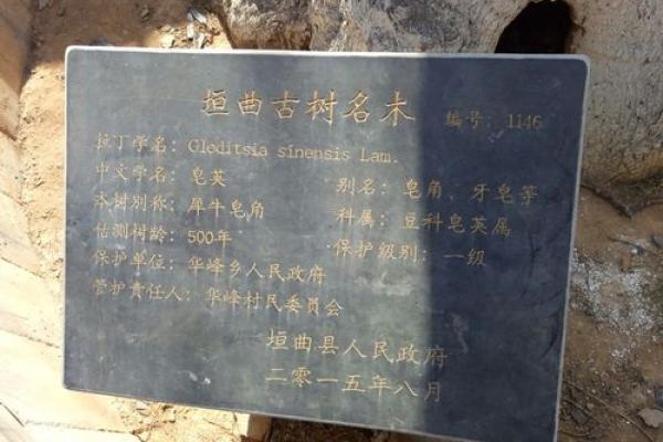 探寻家园的名字背后的深刻含义 探寻家园的名字背后的深刻含义