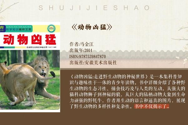 姓虎的传奇人物及其故事 姓虎的传奇人物及其故事