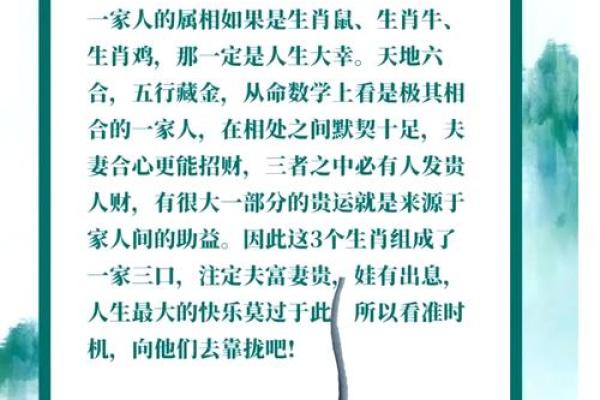 猪与鼠相配的婚姻观与相处之道