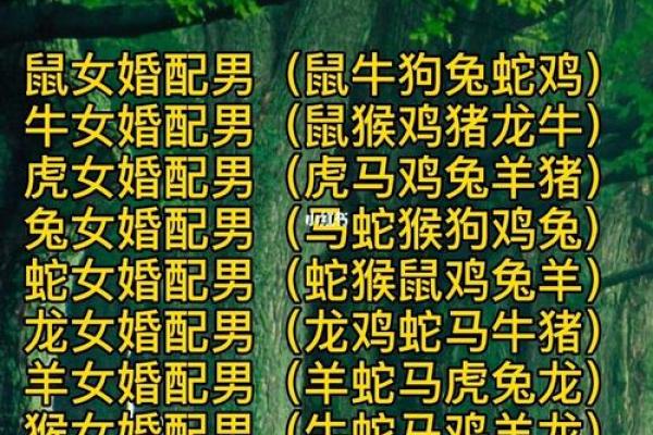属马男和属牛女在感情中的和谐度如何