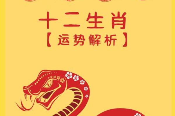 属蛇人本命年如何通过运动保持身心健康 属蛇人本命年如何通过运动保持身心健康