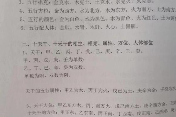 揭秘右命:如何理解与运用这一命理术语 揭秘右命:如何理解与运用这一命理术语