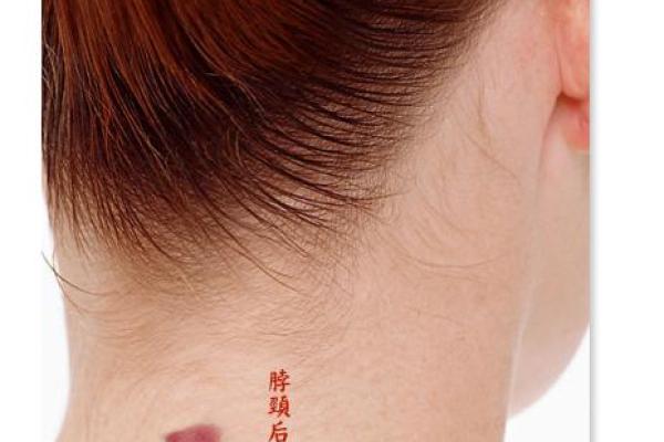揭秘双童子命胎记的形成与命运影响