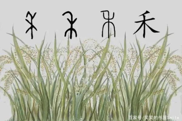 探寻姓卢的人物与故事背后的文化