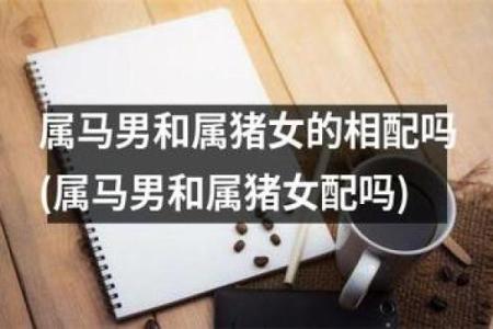 属龙女生与属马男生的婚姻匹配度分析