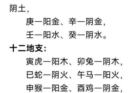 生辰八字五行分析，揭示你的命运秘密！