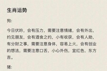 生辰八字测试网，让你轻松了解命运密码与运势变化
