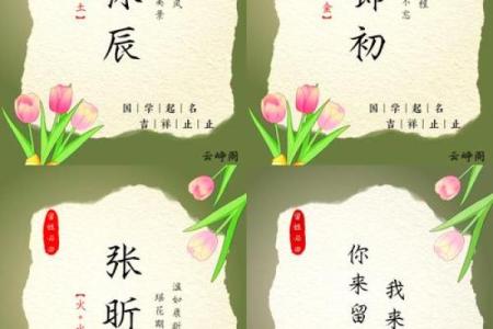 探索名字所蕴含的文化寓意