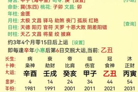 鸡年命理：出生人的五行与命运分析