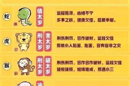 属猪本命年如何修复破裂关系