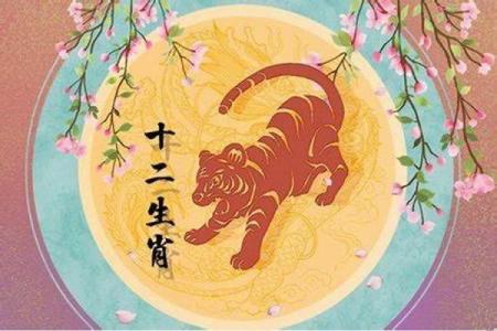 虎男本命年如何获得更多机会