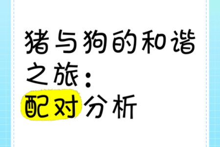 生肖猪和狗的相合与相克解析