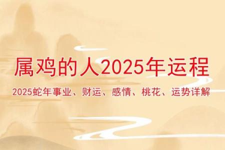 本命年鸡女事业运如何稳步提升