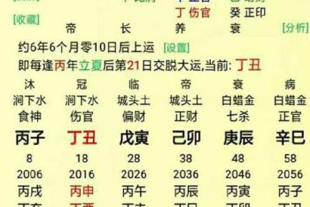 免费阴历生辰八字算命，轻松了解你的命运密码