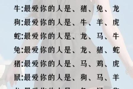 女龙与男蛇的配对缘分解析