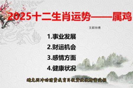 鸡女本命年如何提升个人影响力
