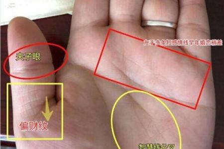 解析命运的掌纹：命好的手相有哪些表现