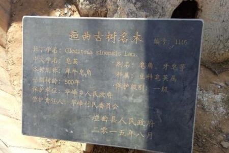 探寻家园的名字背后的深刻含义