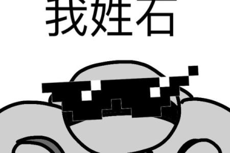 姓石的由来与历史渊源