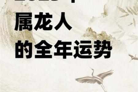 属龙人本命年与生肖相冲的应对方法
