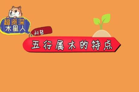 揭秘荣花女命的性格与命运特征