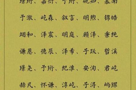 适合男孩的名字大全，经典与创新并存