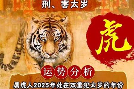 男羊和女虎的性格差异与婚配运势探讨