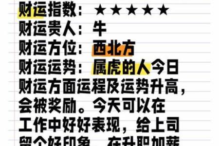 本命年虎女如何规划长远人生目标