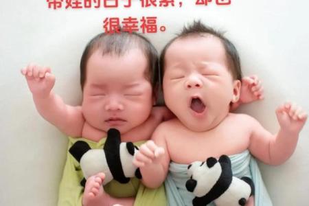 揭秘双童子命胎记的形成与命运影响