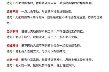 四字成语背后的智慧与寓意解析