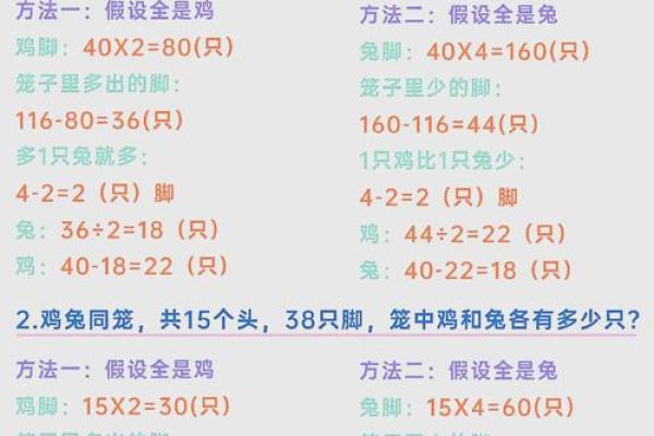 兔与鸡的奇妙搭配 你了解吗