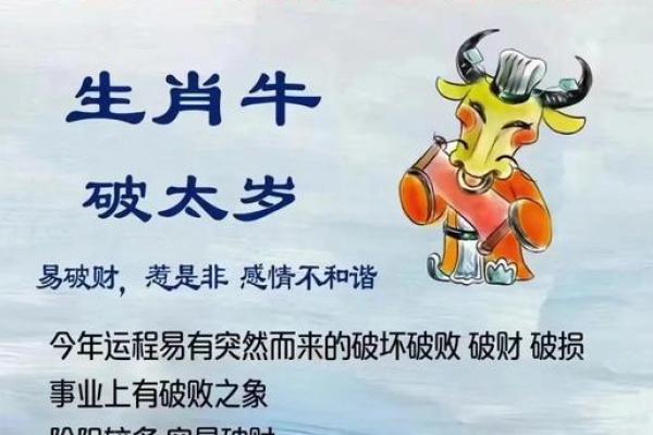 本命年属牛如何把握机会