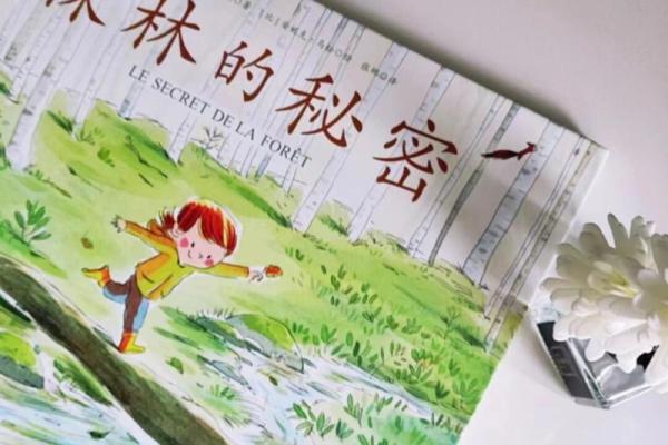 探寻森林的秘密：树木名字背后的故事