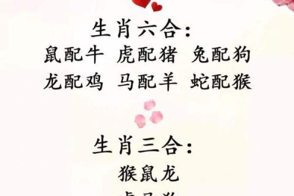 蛇与狗的星座配对是否和谐