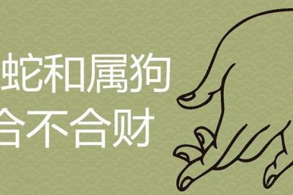 蛇与狗的星座配对是否和谐