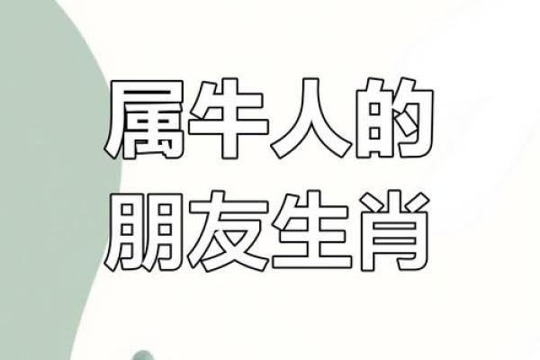 属牛人在本命年如何避免意外事故