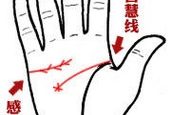 本命年虎女的情感智慧与婚姻幸福