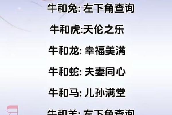 属牛男和属鼠女能走多远？
