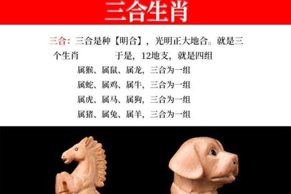 从生肖看兔与狗的默契度：它们真是天生一对吗？