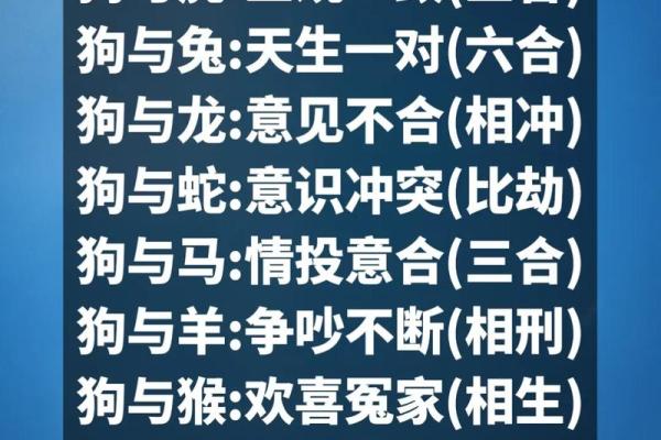 从生肖看兔与狗的默契度：它们真是天生一对吗？