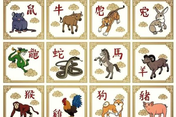 从生肖角度看老鼠与老虎是否是理想搭档