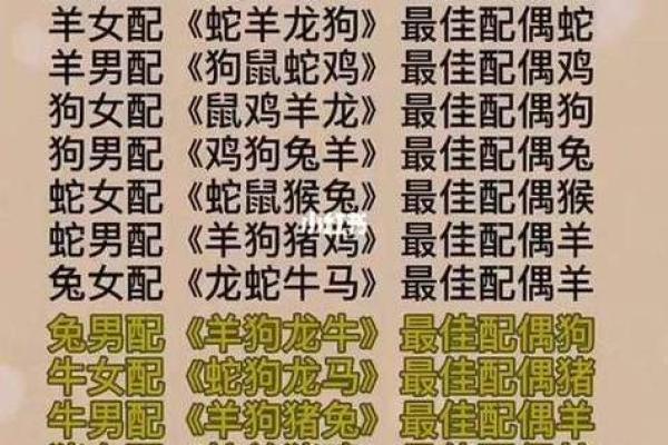 蛇和鸡能否相配?揭秘生肖配对的真相 蛇和鸡能否相配?揭秘生肖配对的真相