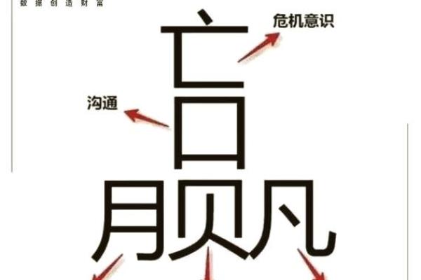 探索贝的名字：含义与象征的深度解读