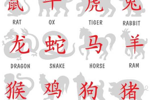 本命年属牛与感情的相遇与分离