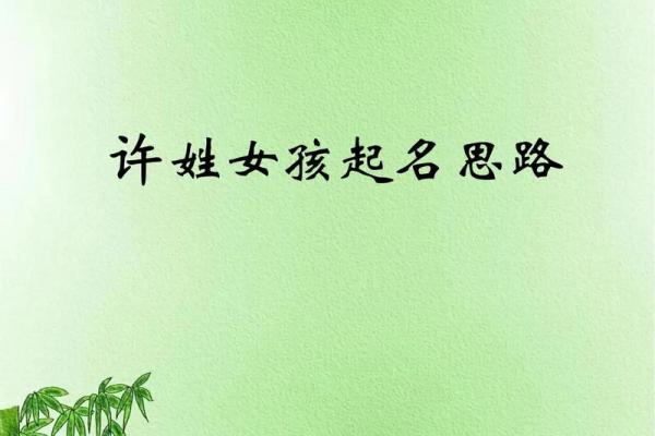 许姓女孩取名建议，既美丽又有深意