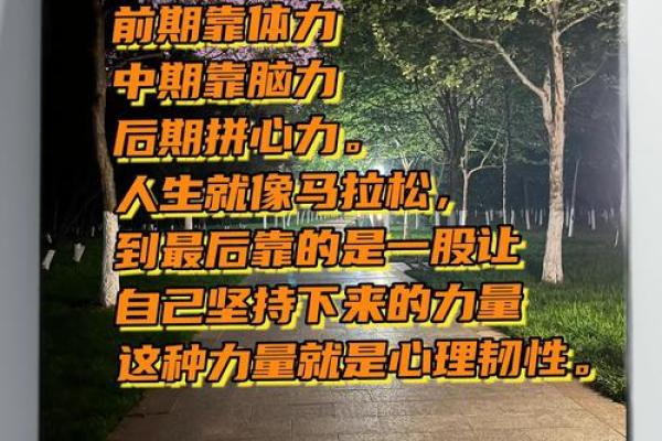 本命年鼠女如何在逆境中保持韧性