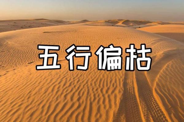 缺土的根源与解决之道：提升土壤质量的关键