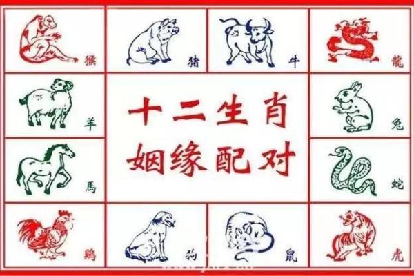 属马女与属龙男的缘分如何 解密两者的爱情配对 属马女与属龙男的缘分如何 解密两者的爱情配对